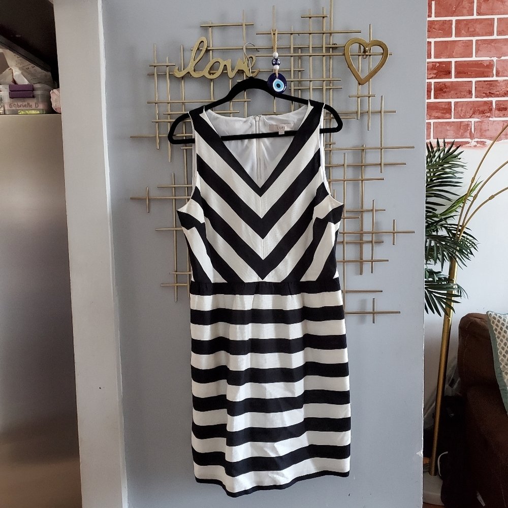 LOFT beautiful black and white V neck dress.